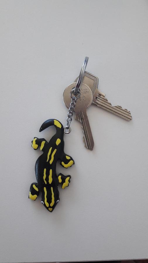 Ferienwohnung Siesta Bad Harzburg Εξωτερικό φωτογραφία